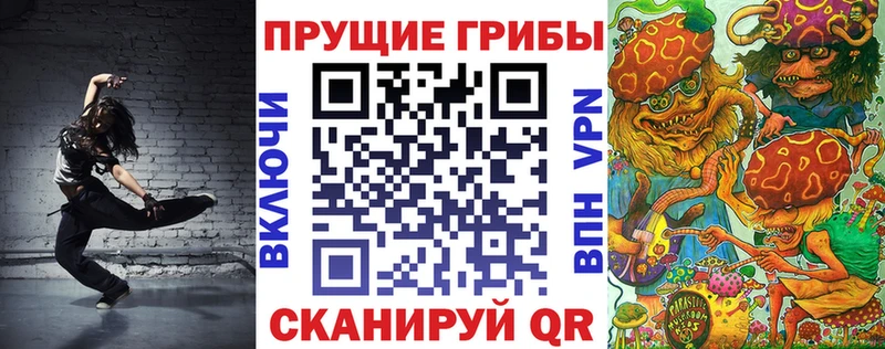 где можно купить   Ижевск  Галлюциногенные грибы прущие грибы 