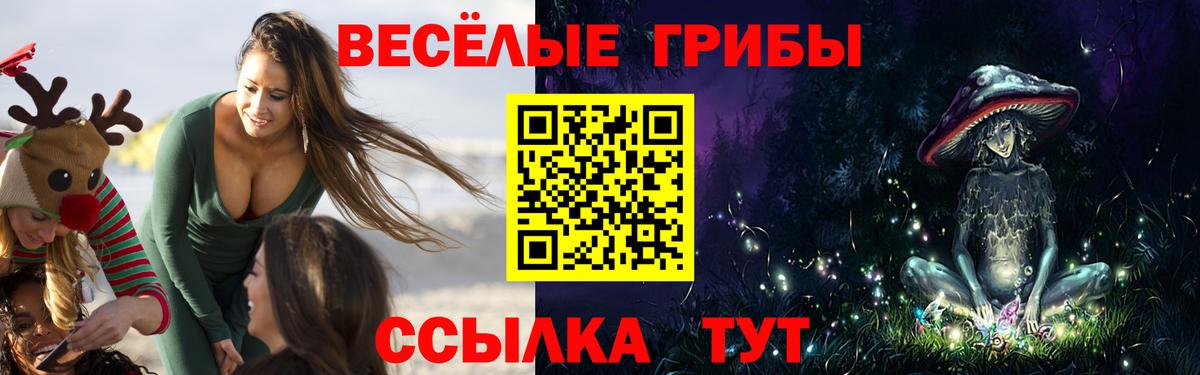 Псилоцибиновые грибы GOLDEN TEACHER  Вход с VPN  Ижевск  Галлюциногенные грибы Psilocybe 